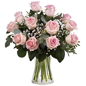 12 Secret Pink Roses Delivery Canada