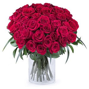 50 Shades of Red Roses Delivery to Nicaragua