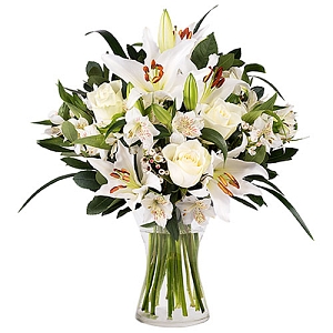 Innocent Love Flowers Delivery to Canada