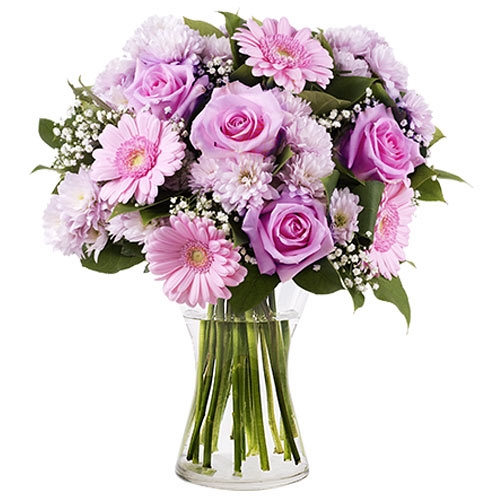 Pink Roses and Gerberas Delivery to Israel