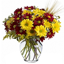 Sending Flowers To Canada Flower Delivery Online In Canada Expressgiftservice