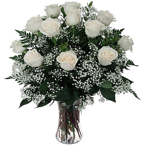 12 White Roses delivery to Canada