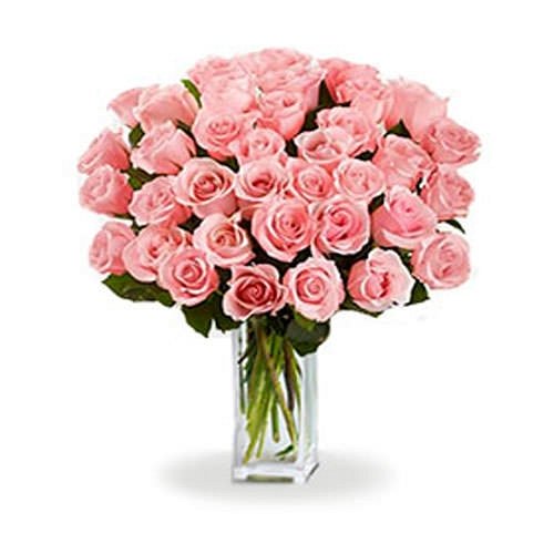 36 Long Stem Pink Roses delivery to Canada