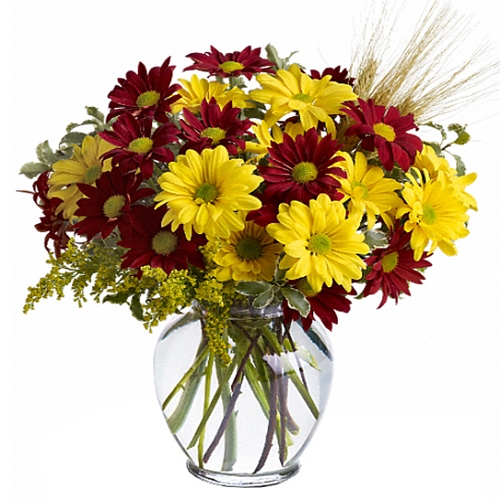 Fall Daisies delivery to Canada