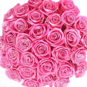 Pink Roses Bouquet 100 Flowers delivery to India