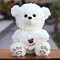 Teddy Bear PK