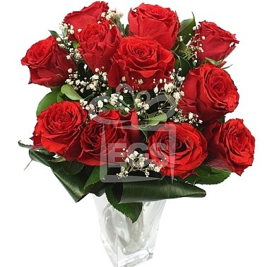 Pretty Red Roses Delivery to Pakistan