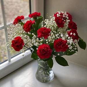 Red Carnations