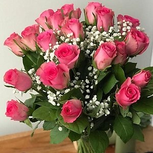 20 Pink Roses With Gyp Delivery UK