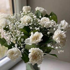 White Carnations