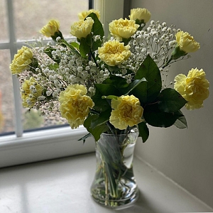 Yellow Carnations