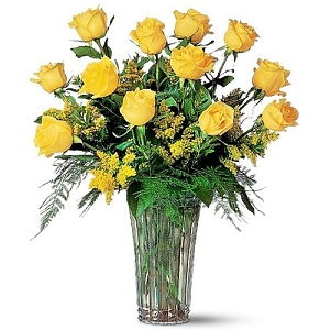 Premium Yellow Roses