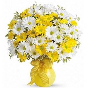 Daisy Delight Bouquet